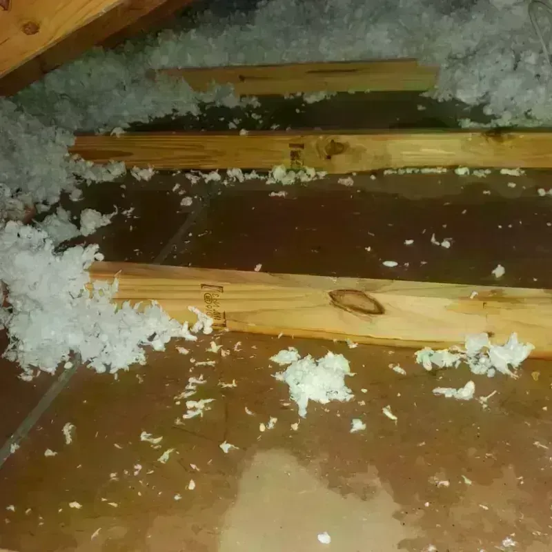 Attic Water Damage in Guerneville, CA